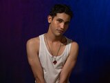 Video AndrewRoberts